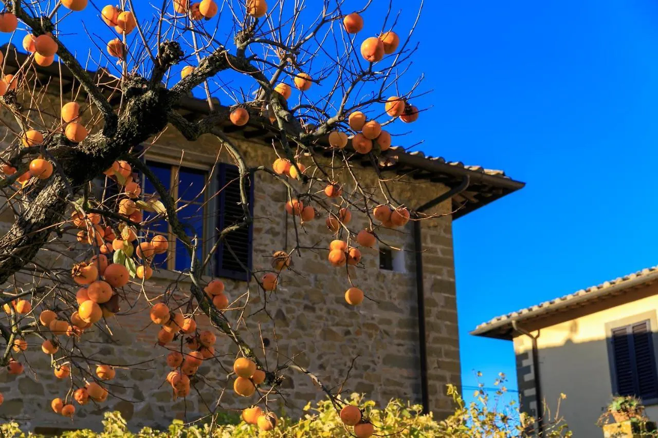 Agriturismo Fattoria Santo Stefano Greve in Chianti 0*,