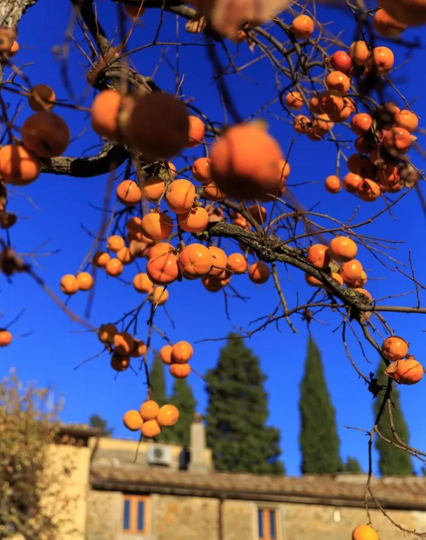 Agriturismo Fattoria Santo Stefano Greve in Chianti Farma
