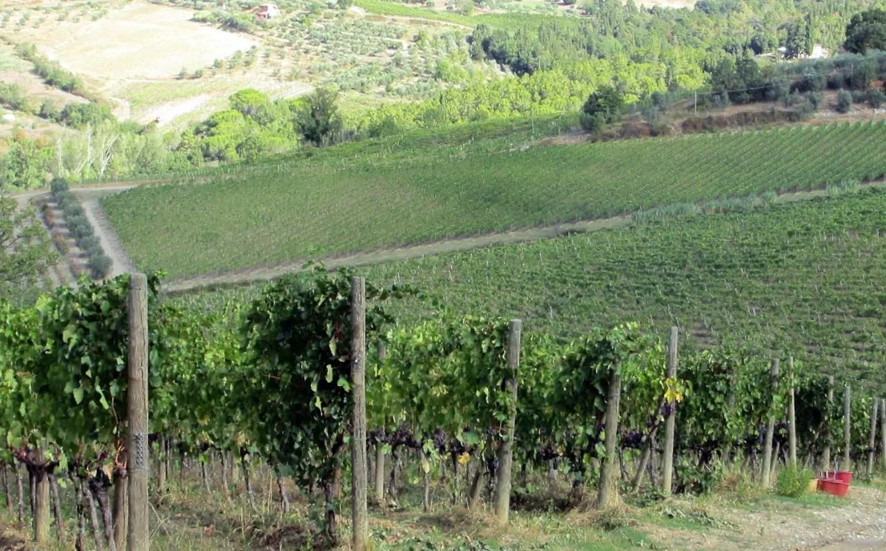Agriturismo Fattoria Santo Stefano Greve in Chianti